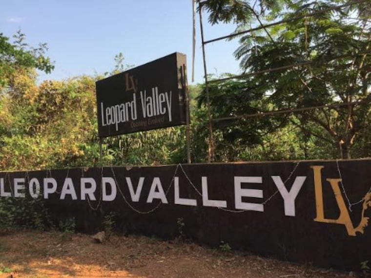 Leopard Valley-1